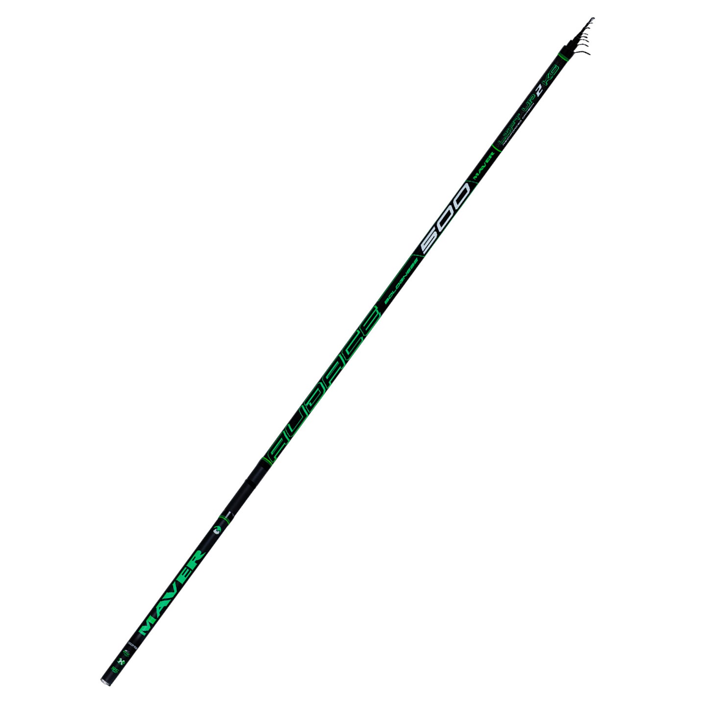 AUDACE BOLO – CANNA BOLOGNESE