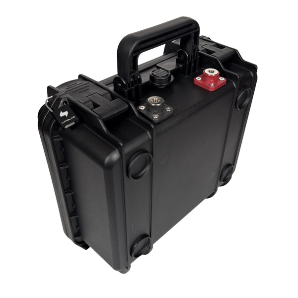 iEnergy Pro MK2 / Batterie intelligente LiFePO4 / 12V - 170Ah