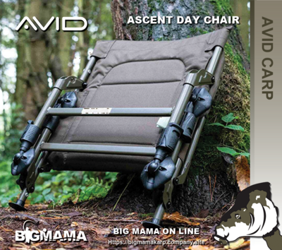 ASCENT DAY CHAIR