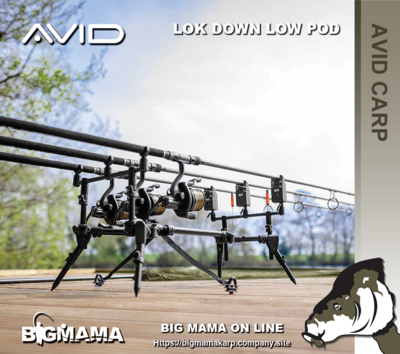 LOK DOWN COMPACT POD