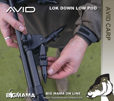 LOK DOWN LOW POD