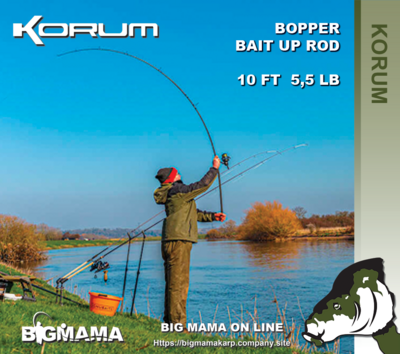 BOPPER BAIT UP ROD