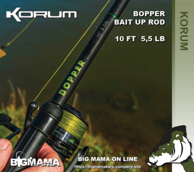 BOPPER BAIT UP ROD