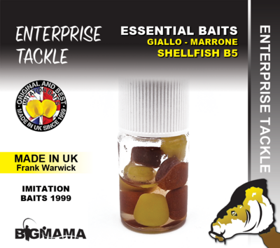 ET ESSENTIAL MAIS GIALLO MARRONE - SHELLFISH B5