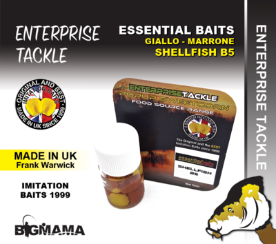 ET ESSENTIAL MAIS GIALLO MARRONE - SHELLFISH B5