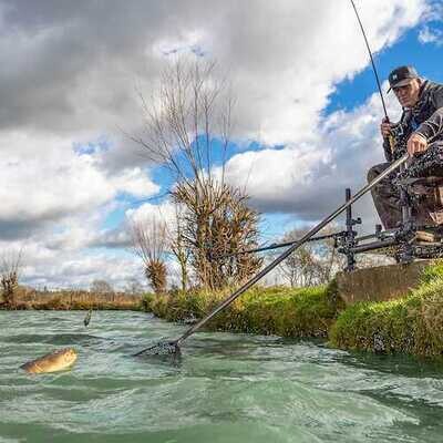 ICS IN-LINE BANJO XR FEEDER