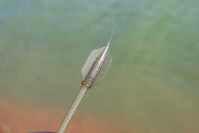 ICS XL STEMS