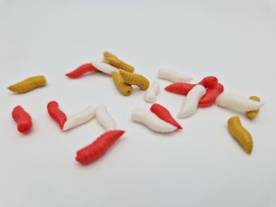 MAGGOTS SINKING
