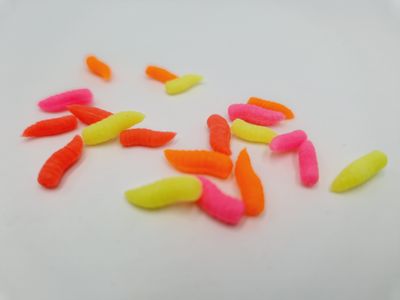 MAGGOTS POP UP