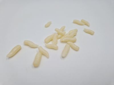 MAGGOTS POP UP