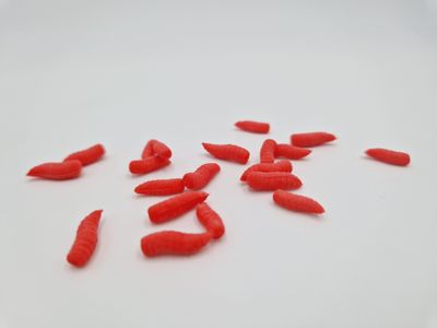 MAGGOTS POP UP