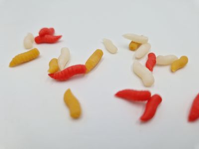 MAGGOTS POP UP