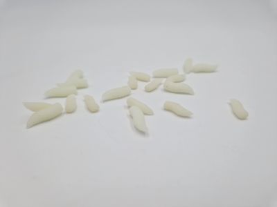 NEON GRUBS FLUORESCENTE GREEN POP UP