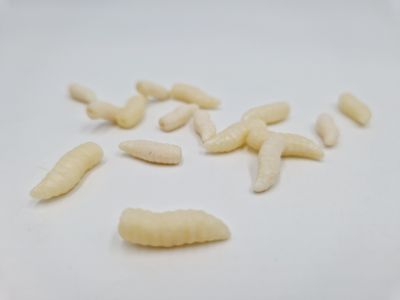 MAGGOT POP UP LARGE
