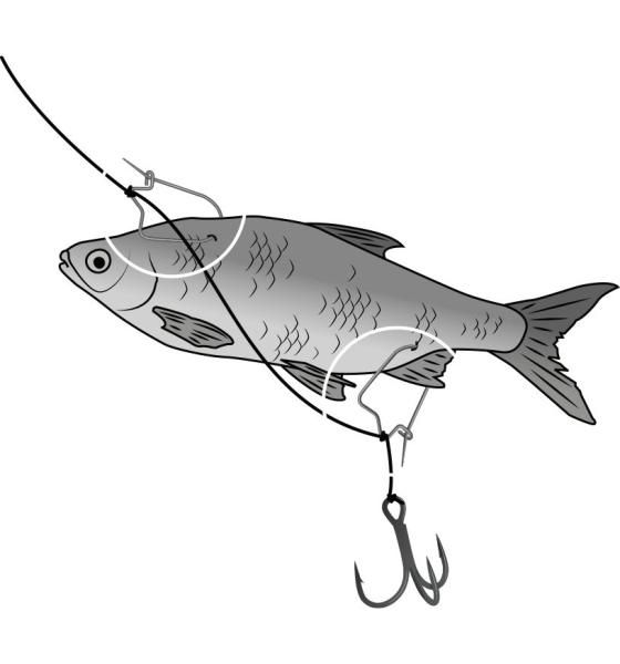 BAITCLIPS