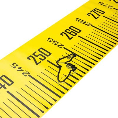CAT MEASURE