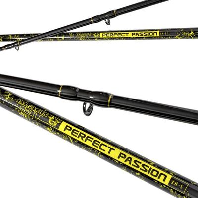 PERFECT PASSION XH-S