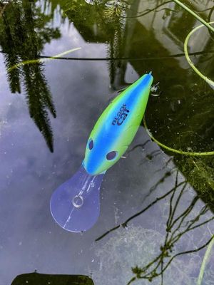 CRANKER - SPECIAL GREEN