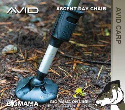ASCENT DAY CHAIR