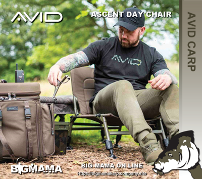 ASCENT DAY CHAIR