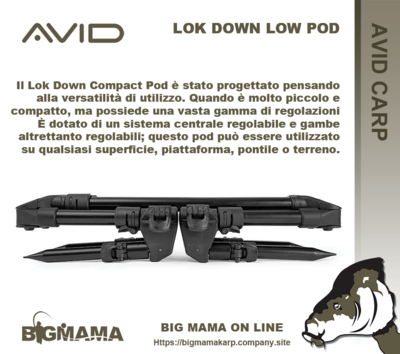 LOK DOWN COMPACT POD