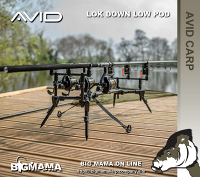 LOK DOWN COMPACT POD