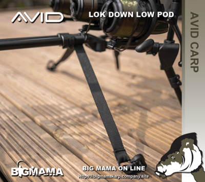LOK DOWN COMPACT POD