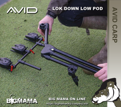LOK DOWN LOW POD