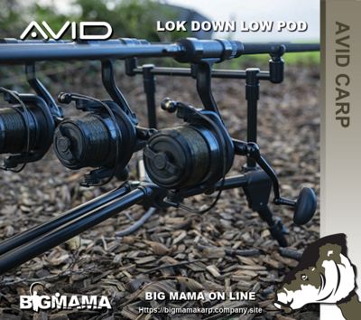 LOK DOWN LOW POD