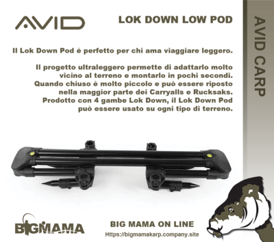 LOK DOWN LOW POD