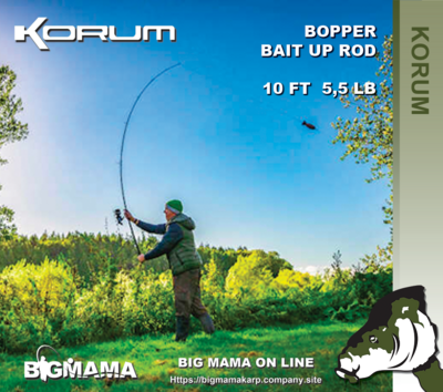 BOPPER BAIT UP ROD