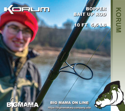BOPPER BAIT UP ROD