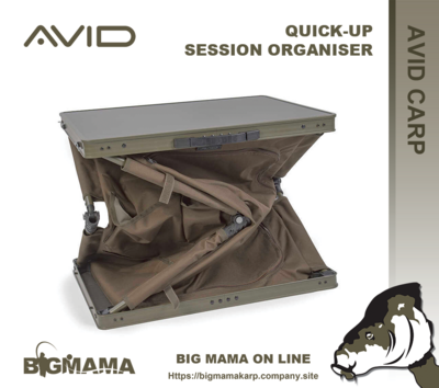 QUICK UP SESSION ORGANISER