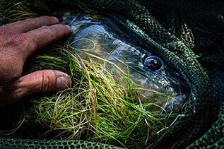 S1 LANDING NET