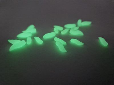NEON GRUBS FLUORESCENTE GREEN POP UP