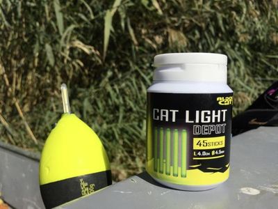 CAT LIGHT DEPOT