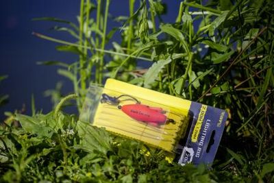 MONTAJE DE GUSANOS RÍO