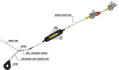 MONTAJE DE GUSANOS RÍO