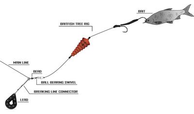 PLATAFORMA DE ÁRBOL BAITFISH