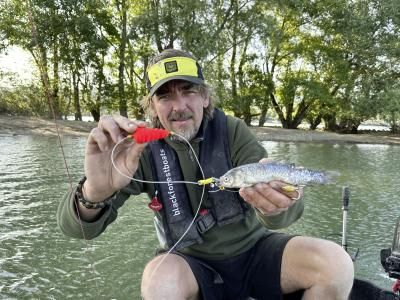 PLATAFORMA DE ÁRBOL BAITFISH