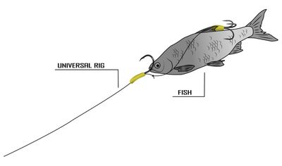 PLATAFORMA UNIVERSAL