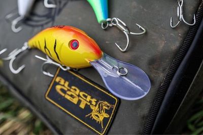 CRANKER - ZOMBIE AMARILLO