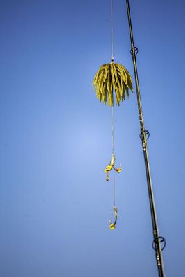 SEÑUELO CON GUSANO REAL