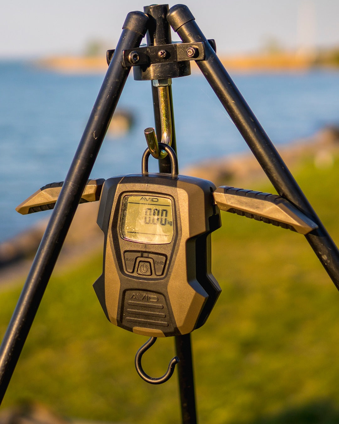 DIGITAL SCALES