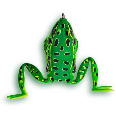TOP FROG - POOL FROG