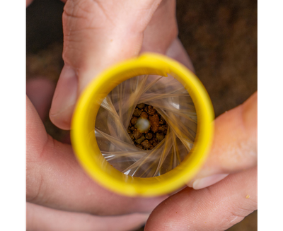 Transfer Solid Bag System