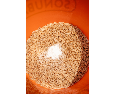 MAGGOT GLUE