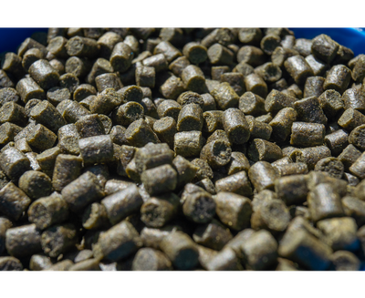 MARINE GREEN PELLET