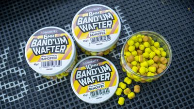 BAND'UM WAFTERS 10MM