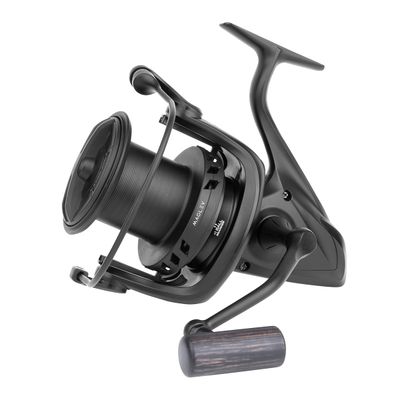 MAGLEV MAGNESIO